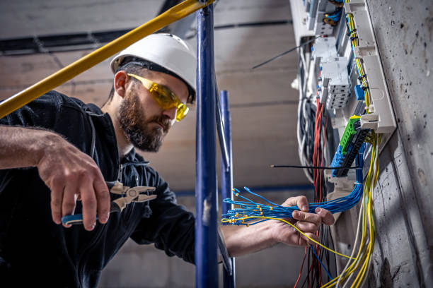 Best Electric Panel Repair  in Westlake Vlage, IL